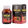 silajit capsule 100 (1)
